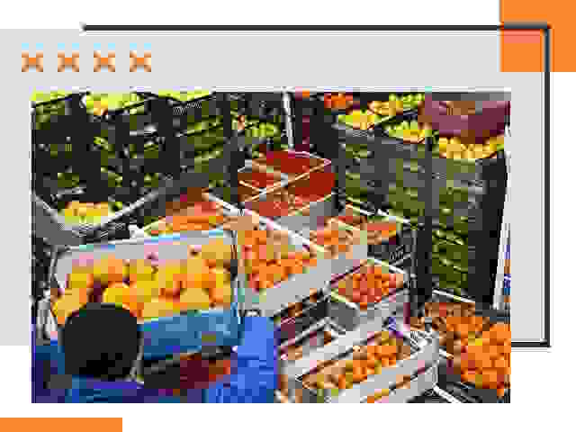 Перевозка скоропортящихся продуктов в Ноябрьске